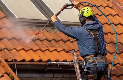 Démoussage et hydrofuge de toiture à Boëge